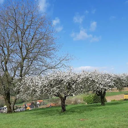 Hébergement de vacances Am Meisslberg - In Landschaftlicher Idylle